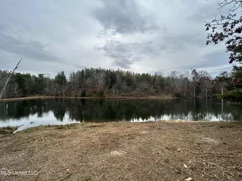 Lower Brookhaven Road, Monticello, MS 39654