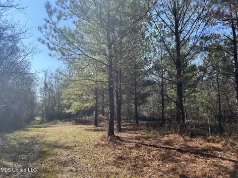 St Augustine, Pearl, MS 39208 photo 5