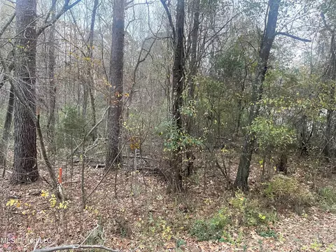 0000 Highway 471, Brandon, MS 39042