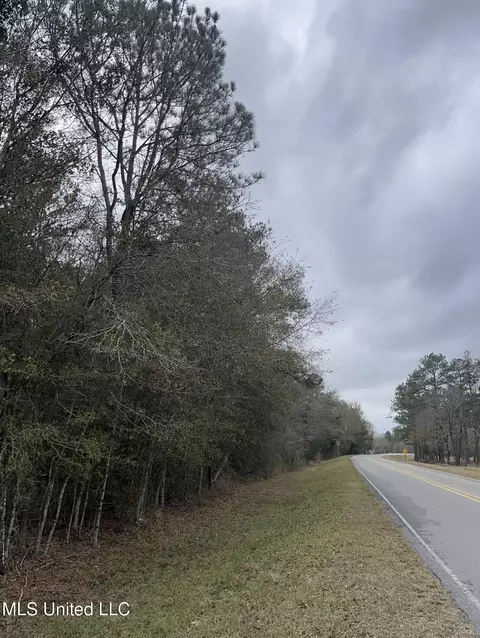 00000 E Guy Smith Rd, Poplarville, MS 39470