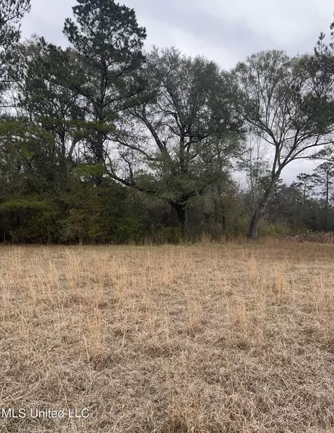 000000 E Guy Smith Rd, Poplarville, MS 39470 photo 2