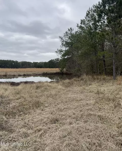 000000 E Guy Smith Rd, Poplarville, MS 39470 photo 5