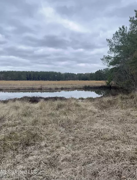 000000 E Guy Smith Rd, Poplarville, MS 39470 photo 6