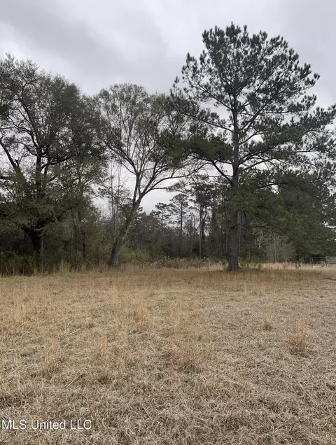000000 E Guy Smith Rd, Poplarville, MS 39470 photo 4