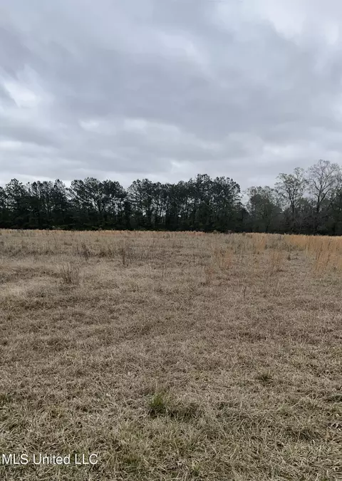 000000 E Guy Smith Rd, Poplarville, MS 39470 photo 8