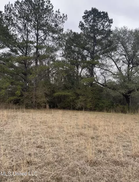 000000 E Guy Smith Rd, Poplarville, MS 39470 photo 3