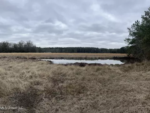 000000 E Guy Smith Rd, Poplarville, MS 39470