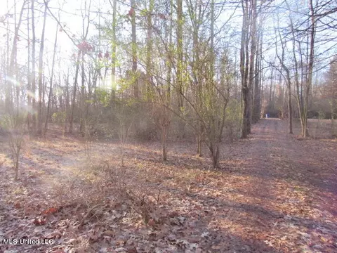 2566 Laverne Rd, Nesbit, MS 38651 photo 21
