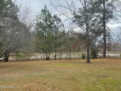 3926 Forest Lake Dr, Jackson, MS 39212 photo 5