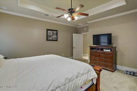 415 Julee Cir, Brandon, MS 39042 photo 21