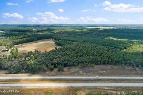 0 Beaver Dam Rd, Lucedale, MS 39452 photo 5