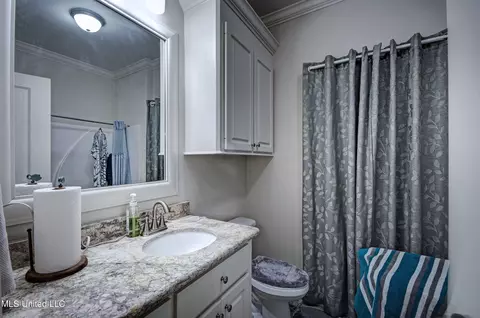 248 Falls Xing, Madison, MS 39110 photo 17