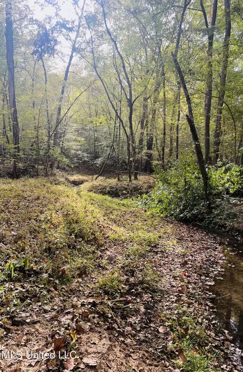 Old Benton Road, Yazoo City, MS 39194