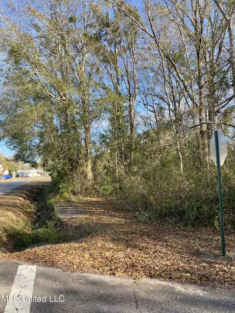 Bennett Street, Picayune, MS 39466 photo 4