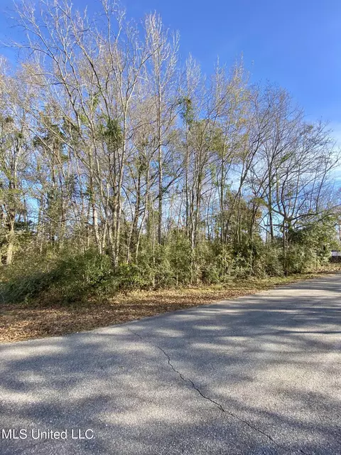 Bennett Street, Picayune, MS 39466 photo 5