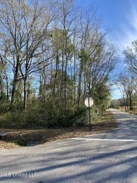 Bennett Street, Picayune, MS 39466 photo 3