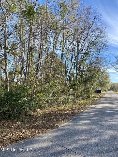Bennett Street, Picayune, MS 39466 photo 6