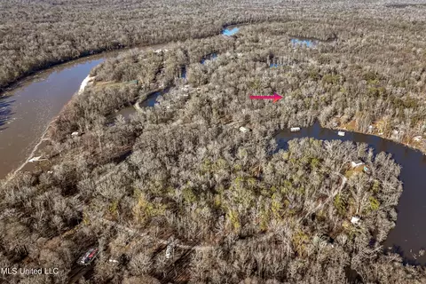 Davis Dead River Rd, Lucedale, MS 39452 photo 4