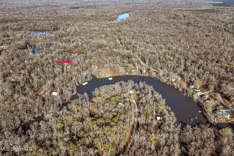 Davis Dead River Rd, Lucedale, MS 39452 photo 5