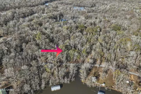 Davis Dead River Rd, Lucedale, MS 39452 photo 2