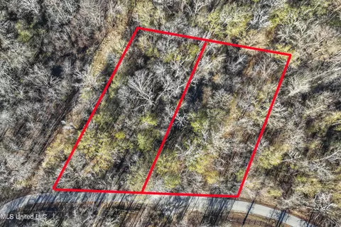 Davis Dead River Rd, Lucedale, MS 39452 photo 3