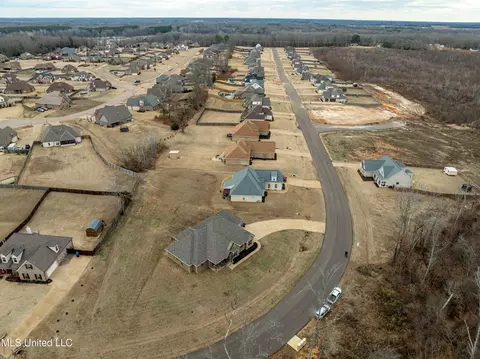4556 E Bakers Trl, Nesbit, MS 38651 photo 30