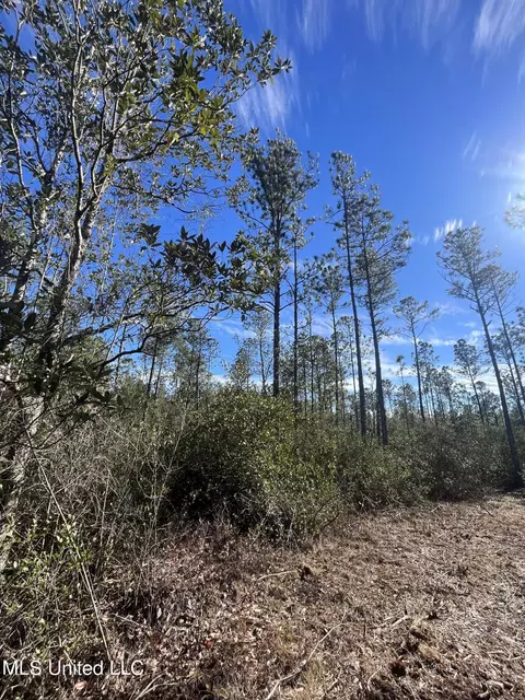 0 Road 520, Saucier, MS 39574 photo 11