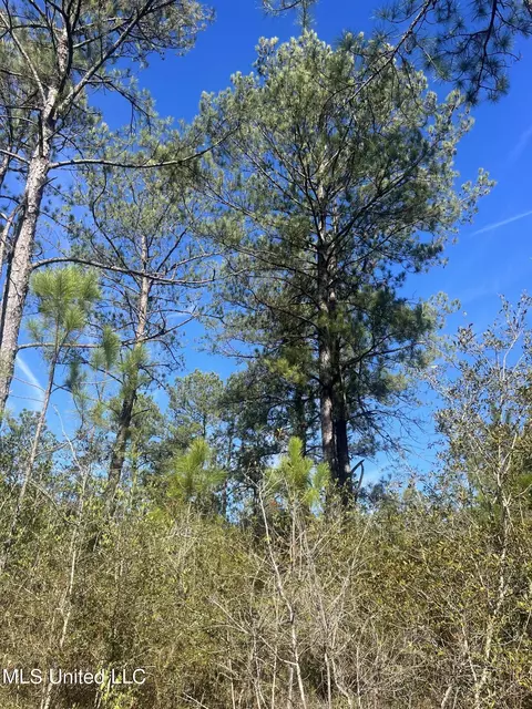 0 Road 520, Saucier, MS 39574 photo 7