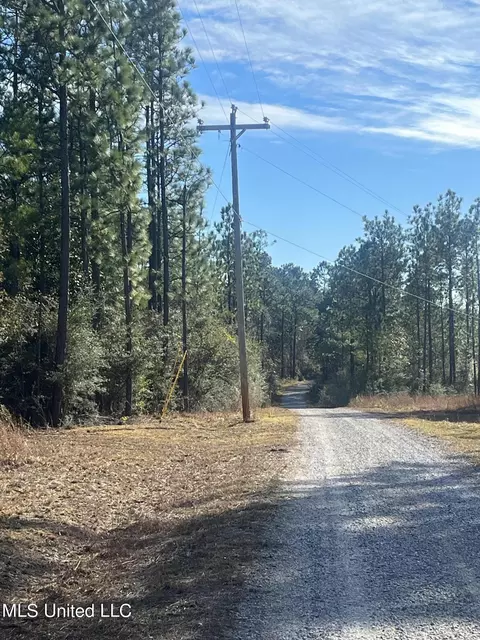 0 Road 520, Saucier, MS 39574 photo 3