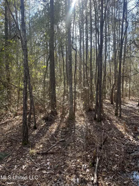 0 Road 520, Saucier, MS 39574 photo 8