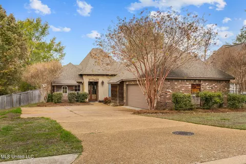 217 Turtle Ln, Brandon, MS 39047 photo 2