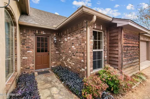 217 Turtle Ln, Brandon, MS 39047 photo 4