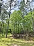 Ty Valley Drive, Saucier, MS 39574 photo 10