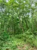 Ty Valley Drive, Saucier, MS 39574 photo 13