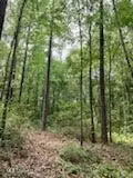 Ty Valley Drive, Saucier, MS 39574 photo 12