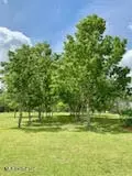 Ty Valley Drive, Saucier, MS 39574 photo 4