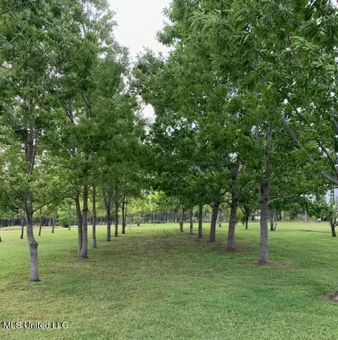 Ty Valley Drive, Saucier, MS 39574
