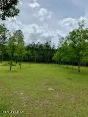 Ty Valley Drive, Saucier, MS 39574 photo 8