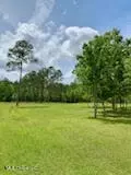 Ty Valley Drive, Saucier, MS 39574 photo 6
