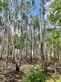 Ty Valley Drive, Saucier, MS 39574 photo 14