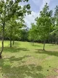 Ty Valley Drive, Saucier, MS 39574 photo 9