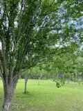 Ty Valley Drive, Saucier, MS 39574 photo 7