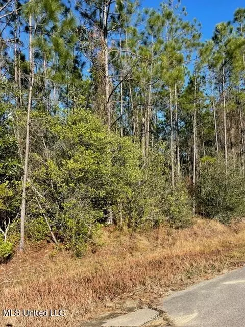 Oak Terrace Drive, Gulfport, MS 39503