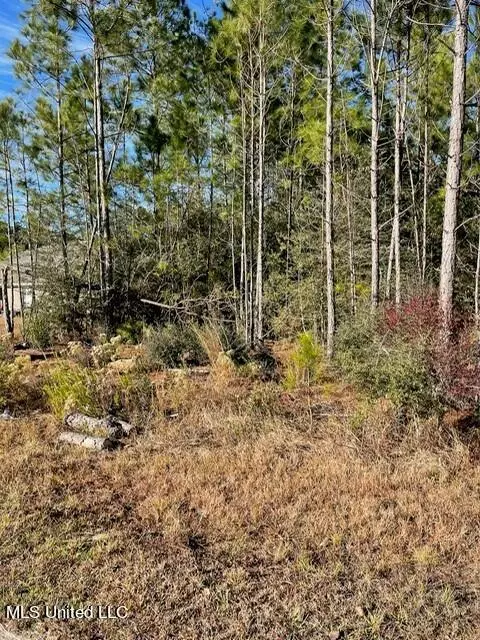 Oak Terrace Drive, Gulfport, MS 39503