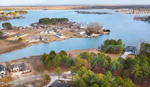 195 Harbor View Dr, Madison, MS 39110 photo 11