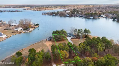 195 Harbor View Dr, Madison, MS 39110 photo 8