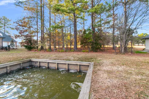 195 Harbor View Dr, Madison, MS 39110 photo 5