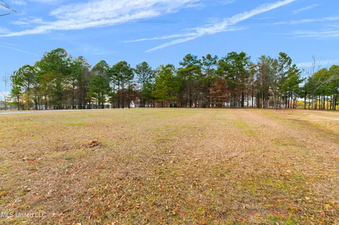 195 Harbor View Dr, Madison, MS 39110 photo 6
