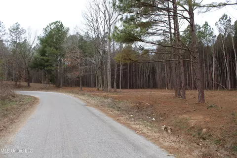 2 Co Rd 607, Ripley, MS 38663 photo 5