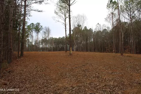 2 Co Rd 607, Ripley, MS 38663 photo 9